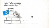 Copilot platform strategy: Copilot Platform Strategy: Winners, Losers, Next Steps